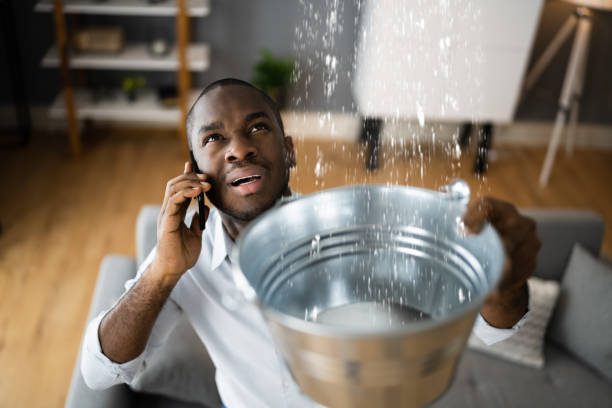 Best Commercial water damage restoration  in Rio Rancho, NM