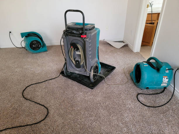 Best Flood restoration services  in Rio Rancho, NM