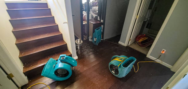 Best Carpet water damage restoration  in Rio Rancho, NM