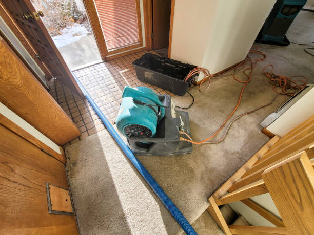 Best Basement water damage restoration  in Rio Rancho, NM