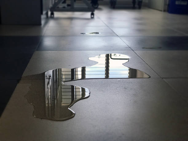 Best 24/7 water damage repair  in Rio Rancho, NM