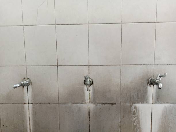 Best Water damage cleanup near me  in Rio Rancho, NM