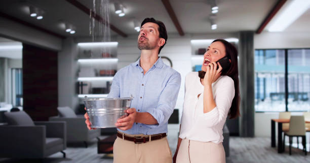 Best Flood damage cleanup  in Rio Rancho, NM