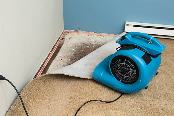 Best Emergency water damage restoration  in Rio Rancho, NM